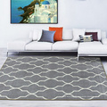 Modern Trellis Design Gray Area Rug